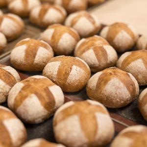 2025 Serata di gala, Teatro Romolo Valli, Reggio Emilia foto di |Nicola Gennari|